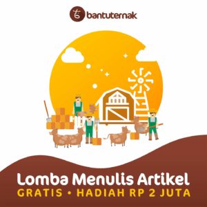 lomba menulis artikel bantuternak oktober 1